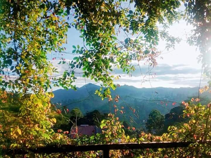Ella Dream Mount Hotel Ngoại thất bức ảnh